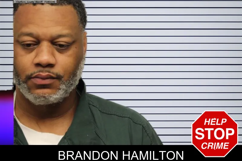 Brandon Hamilton mugshot
