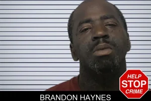 Brandon Haynes mugshot