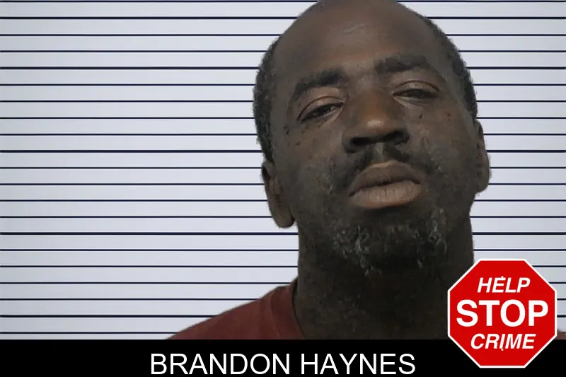 Brandon Haynes mugshot