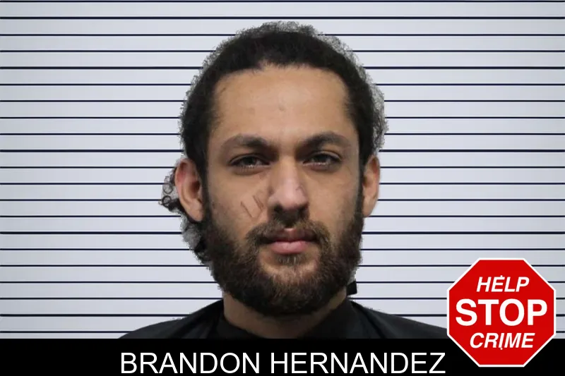 Brandon Hernandez mugshot