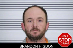 Brandon Higdon mugshot