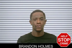 Brandon Holmes mugshot