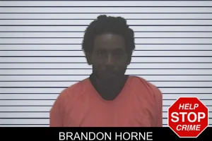 Brandon Horne mugshot