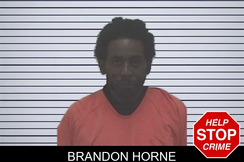 Brandon Horne mugshot