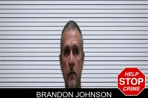 Brandon Johnson mugshot