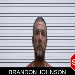 Brandon Johnson mugshot