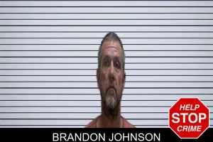 Brandon Johnson mugshot