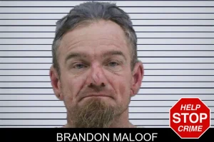 Brandon Maloof mugshot