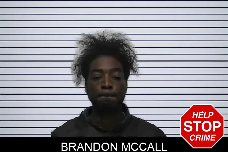Brandon McCall mugshot – Pike County , Georgia Brandon McCall mugshot