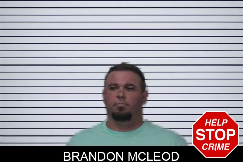 Brandon McLeod mugshot