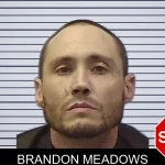 Brandon Meadows mugshot