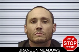 Brandon Meadows mugshot