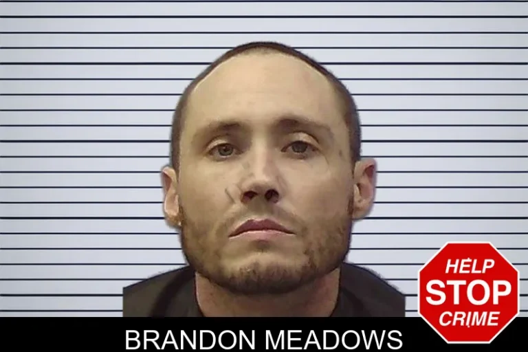 Brandon Meadows mugshot – Chattooga County , Georgia Brandon Meadows