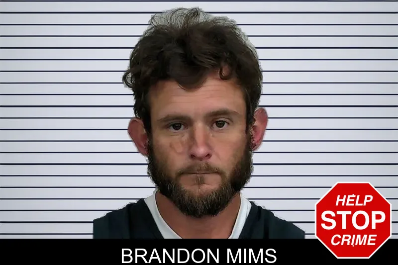 Brandon Mims mugshot