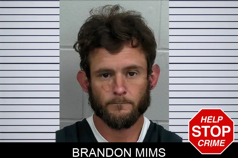 Brandon Mims mugshot
