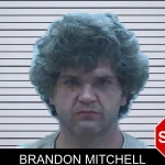 Brandon Mitchell mugshot