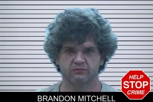 Brandon Mitchell mugshot