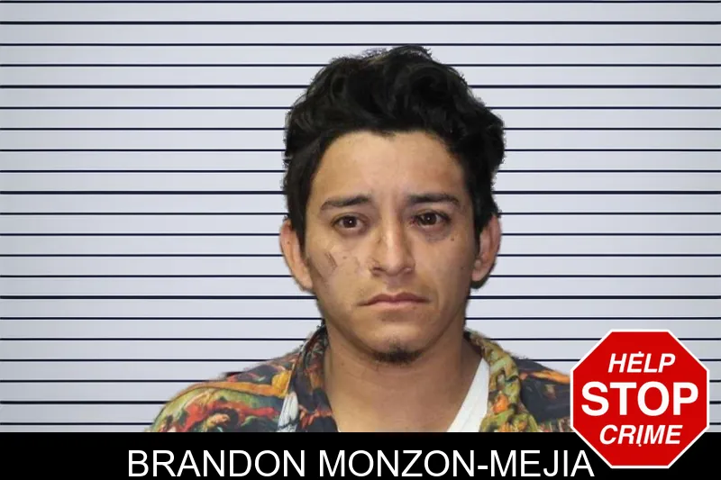Brandon Monzon-Mejia mugshot