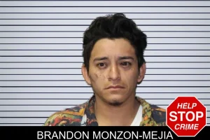 Brandon Monzon-Mejia mugshot