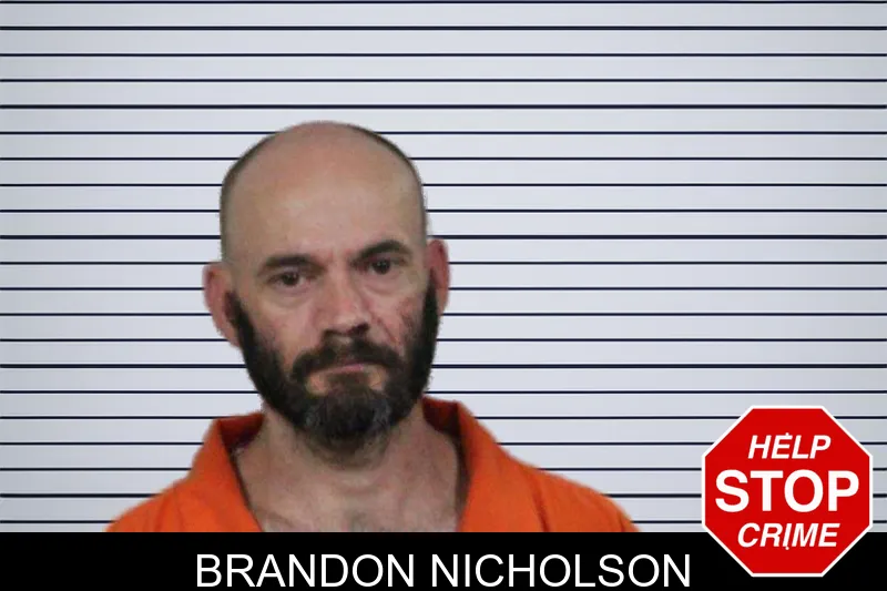 Brandon Nicholson mugshot – Lamar County , Georgia Brandon Nicholson mugshot