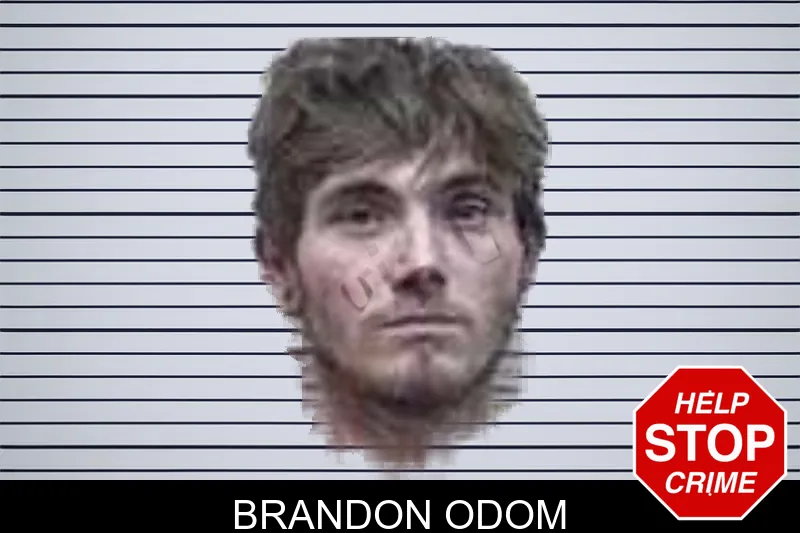 Brandon Odom mugshot