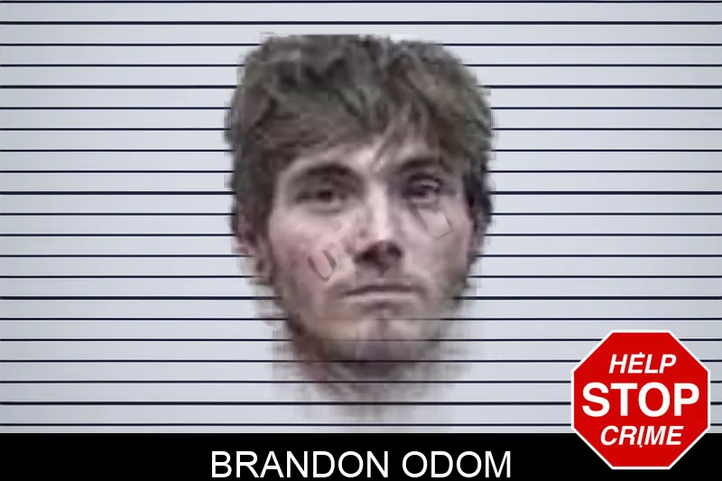 Brandon Odom mugshot
