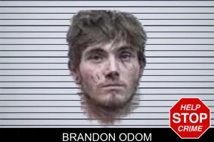 Brandon Odom mugshot
