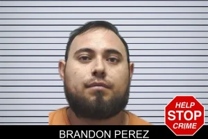 Brandon Perez mugshot