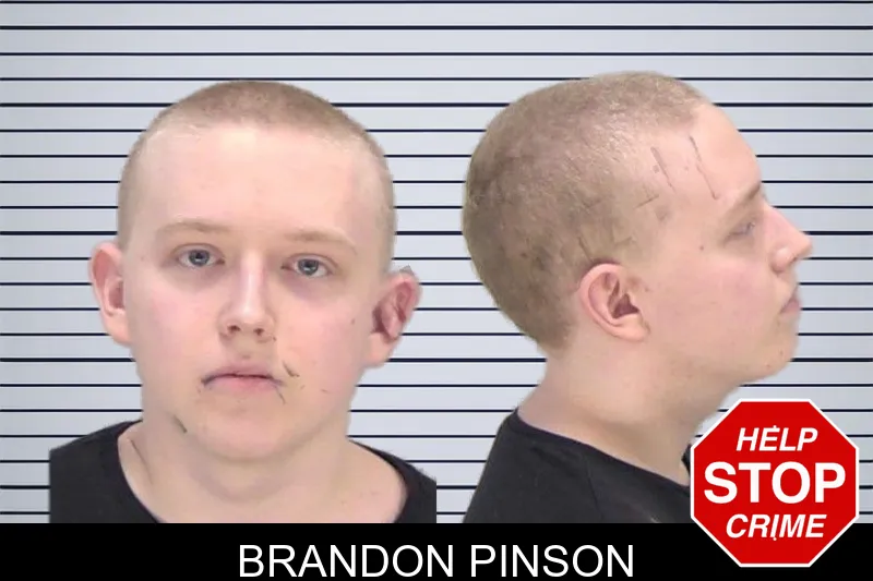 Brandon Pinson mugshot