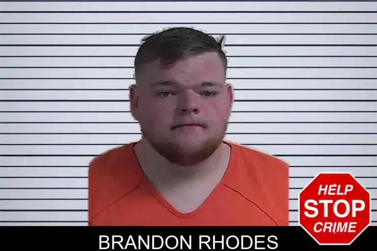 Brandon Rhodes mugshot – Fannin County , Georgia Brandon Rhodes
