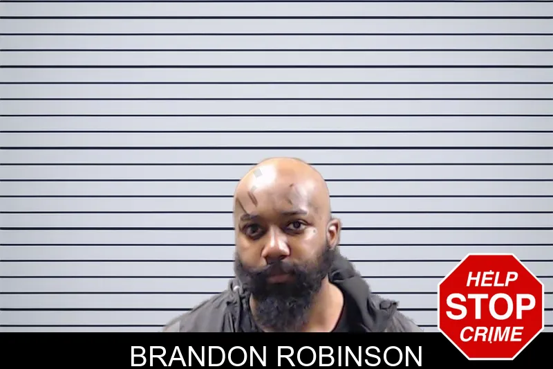 Brandon Robinson mugshot
