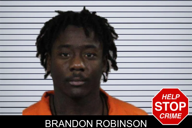 Brandon Robinson mugshot