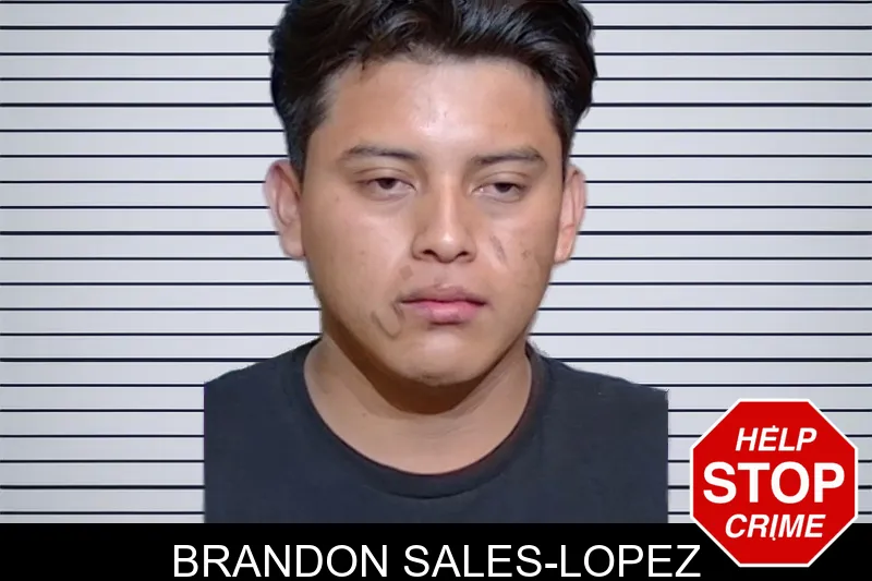Brandon Sales-Lopez mugshot