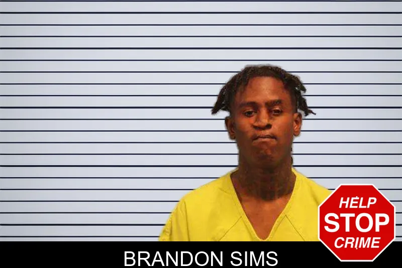 Brandon Sims mugshot