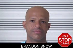 Brandon Snow mugshot