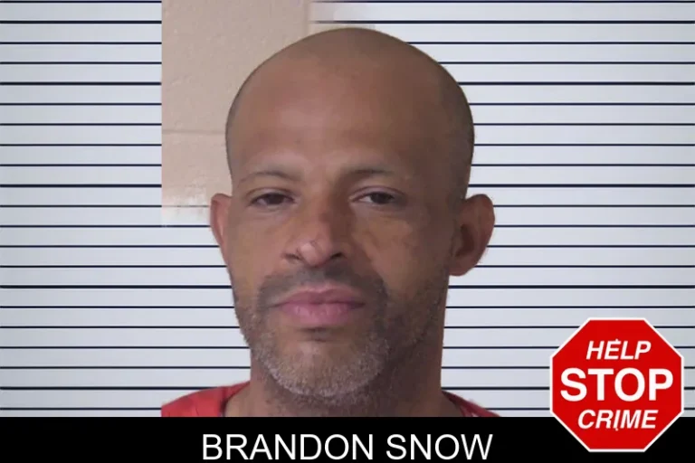 Brandon Snow