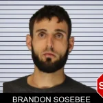 Brandon Sosebee mugshot