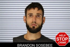 Brandon Sosebee mugshot