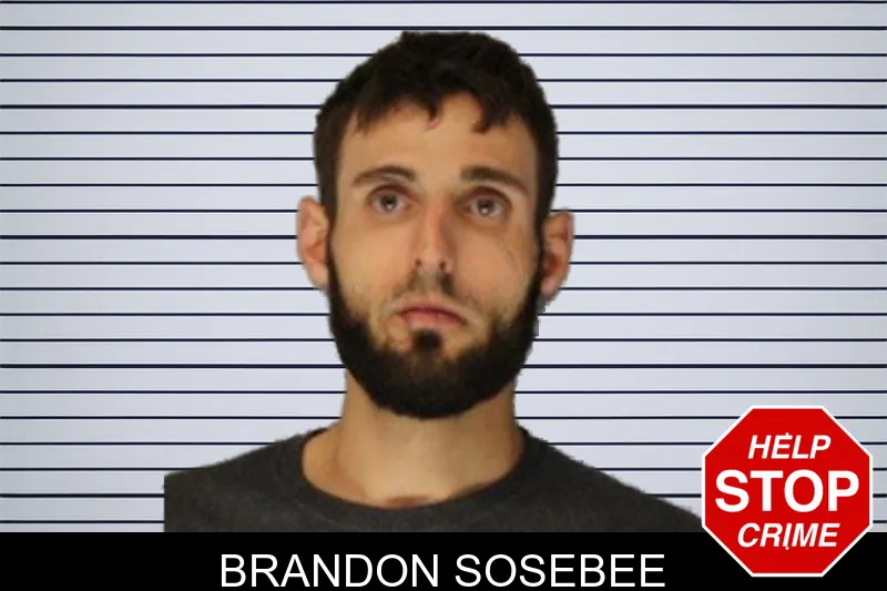 Brandon Sosebee mugshot