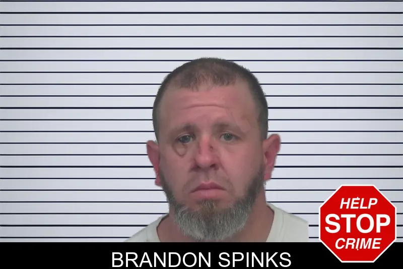 Brandon Spinks mugshot