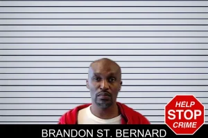 Brandon St. Bernard mugshot