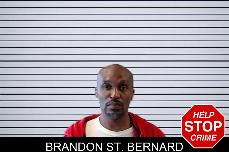 Brandon St. Bernard mugshot