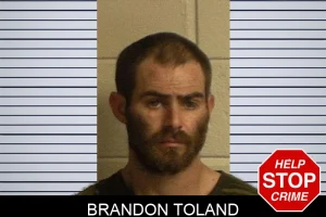 Brandon Toland mugshot