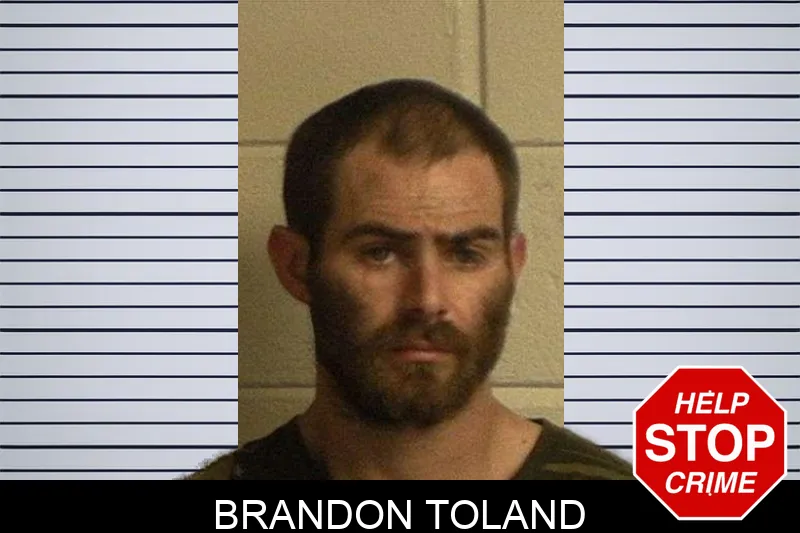 Brandon Toland mugshot