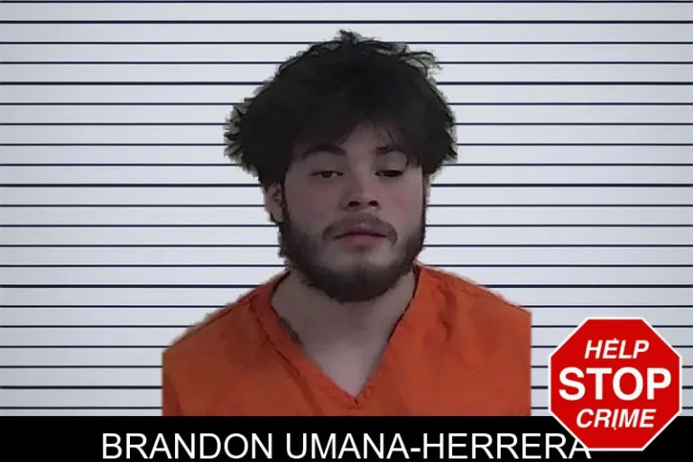 Brandon Umana-Herrera mugshot – Fannin County , Georgia Brandon Umana-Herrera