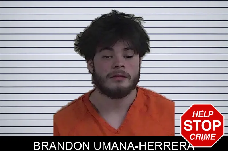 Brandon Umana-Herrera mugshot