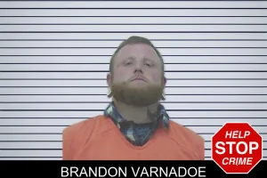 Brandon Varnadoe mugshot