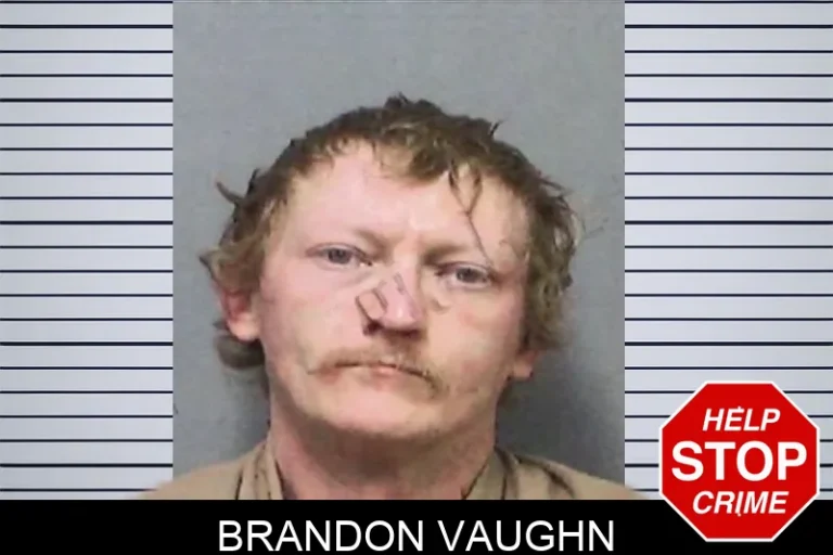 Brandon Vaughn mugshot – White County , Georgia Brandon Vaughn