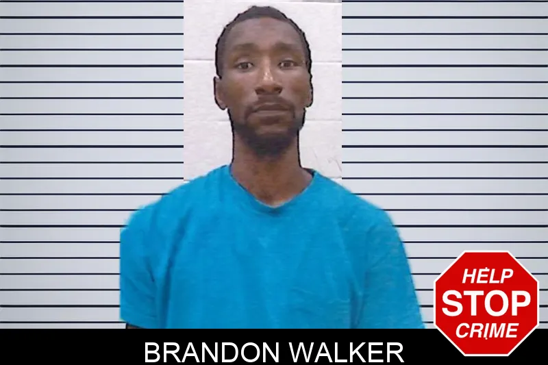 Brandon Walker mugshot – Screven County , Georgia Brandon Walker mugshot