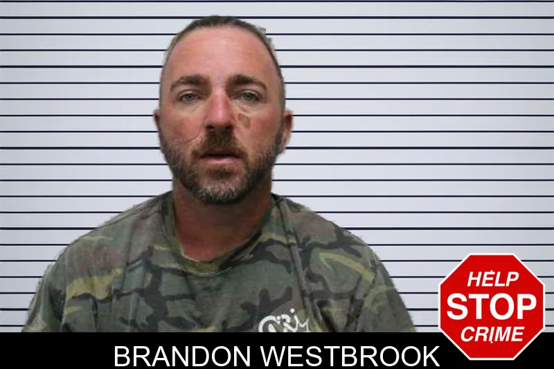 Brandon Westbrook mugshot